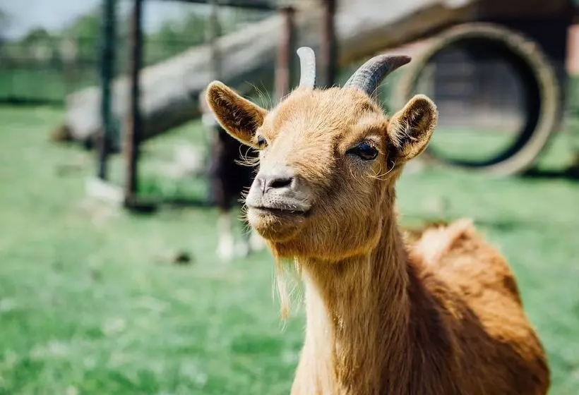 Maaseutuhotelli Boertel Lamperse Hei