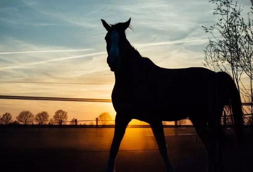 Maaseutuhotelli Boertel Lamperse Hei