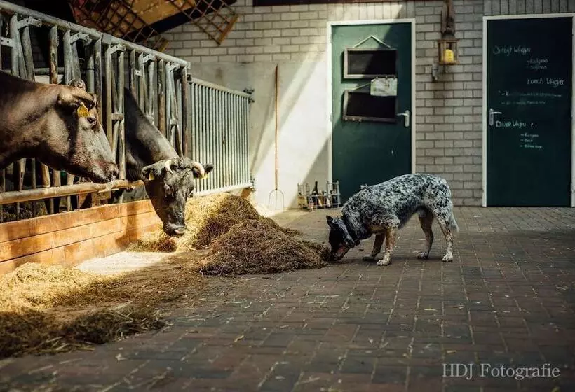 Maaseutuhotelli Boertel Lamperse Hei