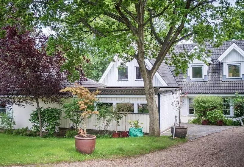 Residenssi Large 3 Bed House With Separately Bookable Studio