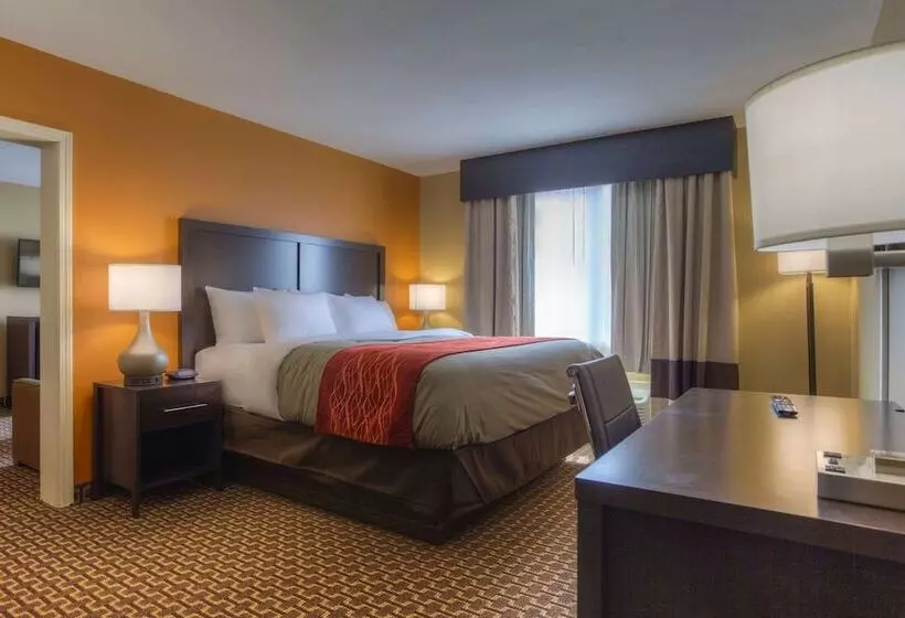 هتل Quality Inn & Suites Chattanooga East Ridge
