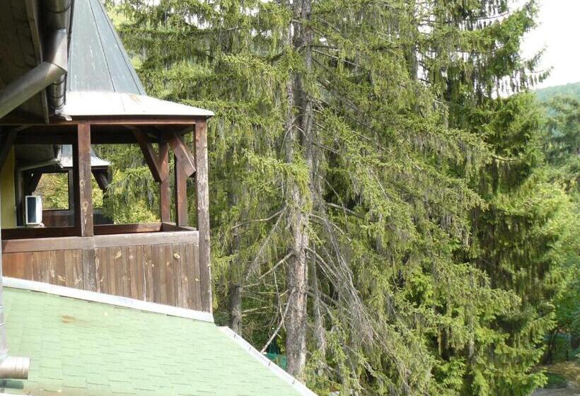 Family Park Hotel Kyoshkove