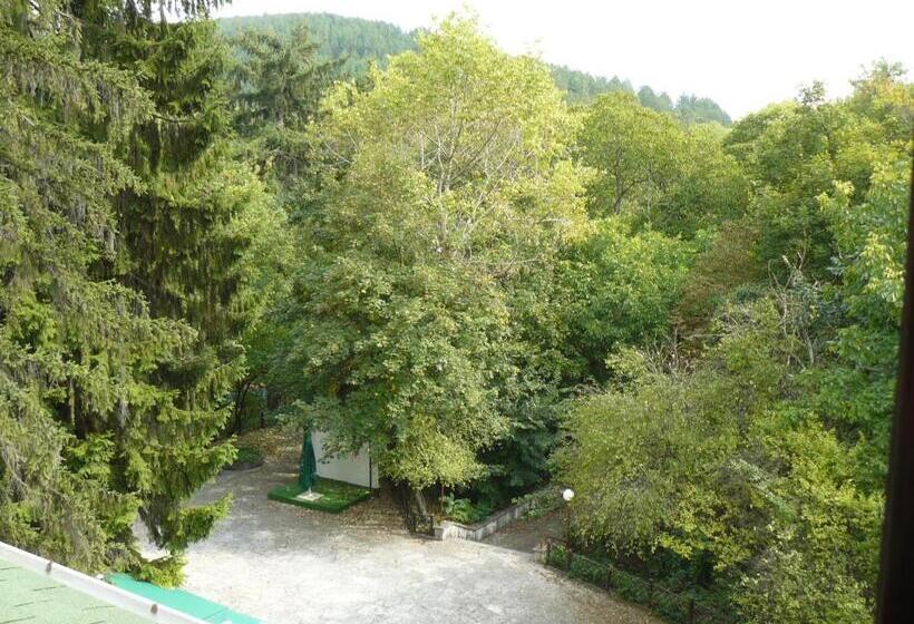 Family Park Hotel Kyoshkove