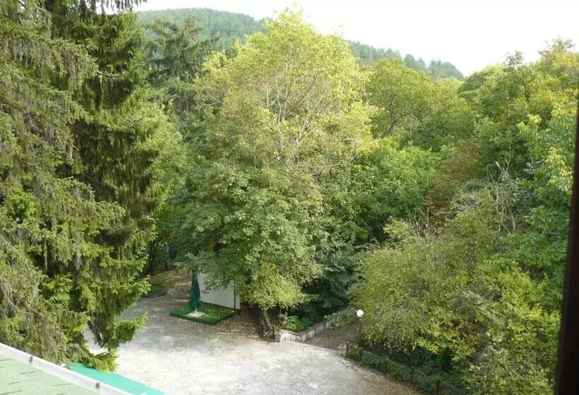 Family Park Hotel Kyoshkove
