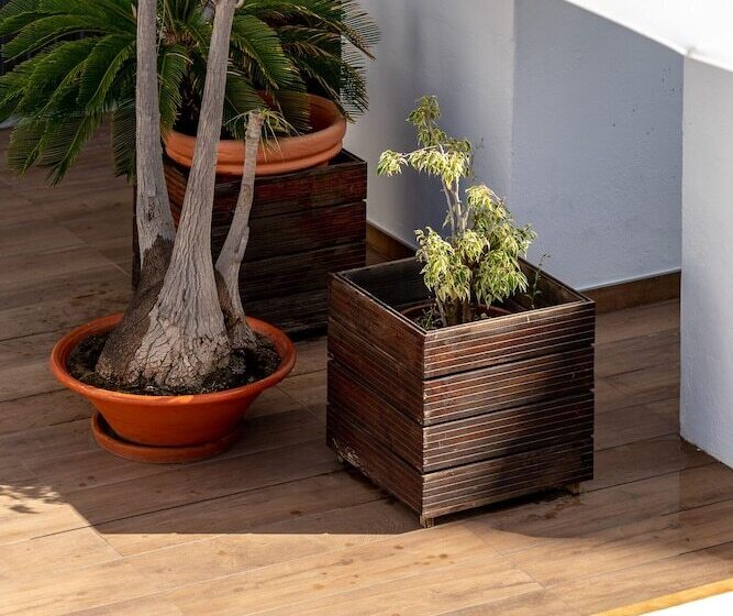 فندق Cidade De Olhao