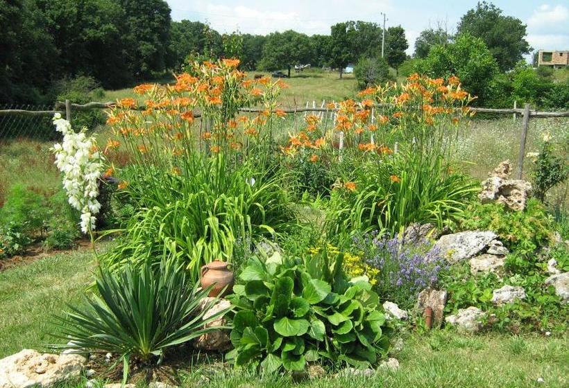 إقامة Victoria Sinemorets Guest House