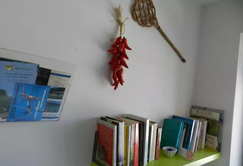 Al Volo B&b
