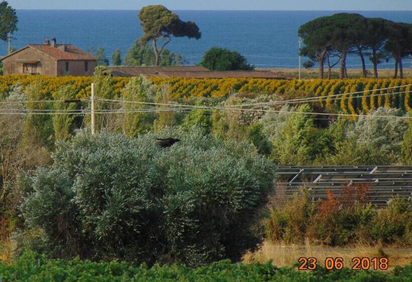 مبيت وإفطار La Mia Casa Per Tutti