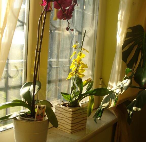 مبيت وإفطار La Mia Casa Per Tutti