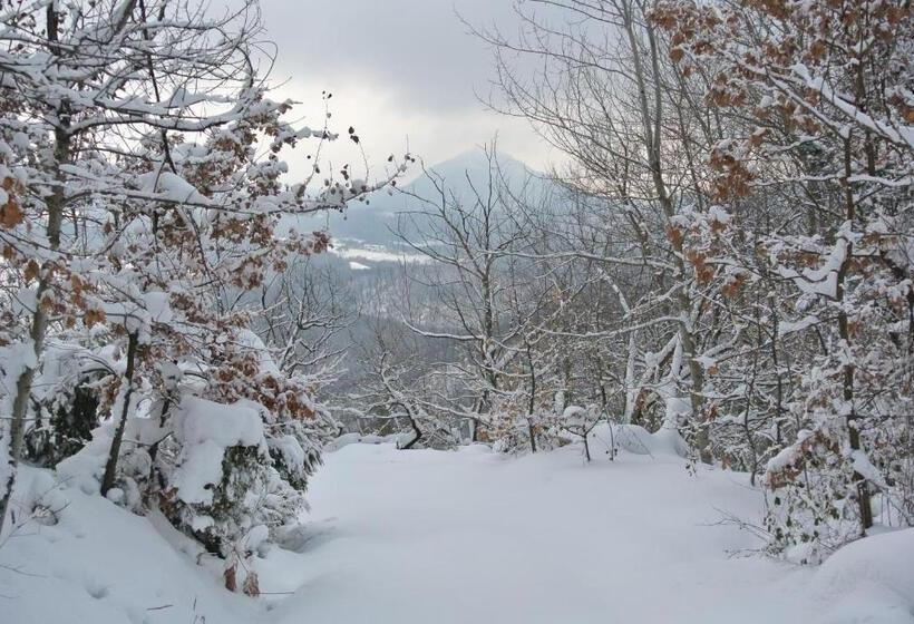 Отель Dei Conti