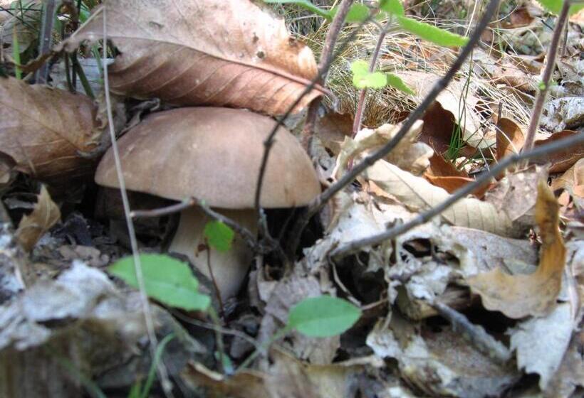 Отель Dei Conti