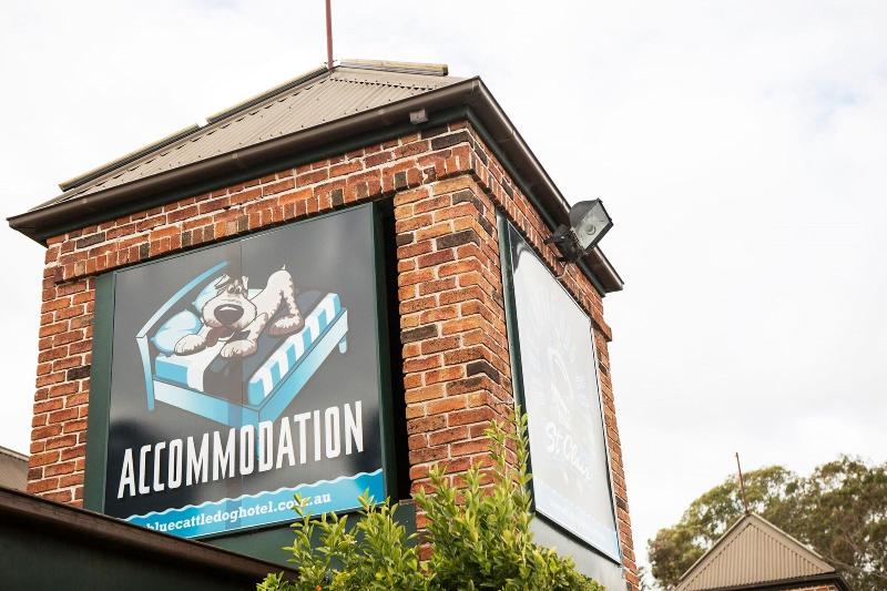 ホテル Nightcap At Blue Cattle Dog