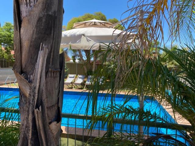 모텔 Orana Motor Inn