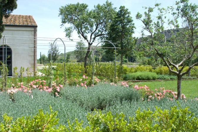 إقامة Fonte Del Lupo