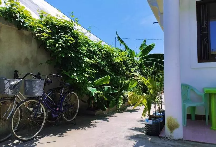تختخواب و صبحانه Bed&breakfast Shwari House