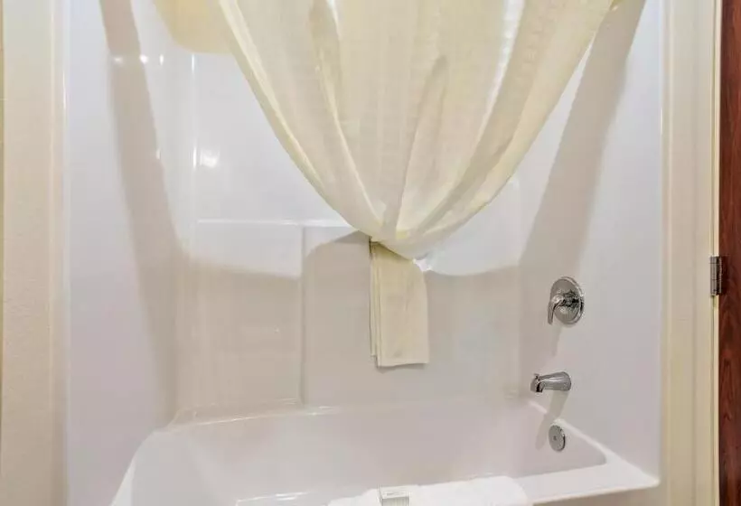 Cobblestone Hotel & Suites   Rhinelander