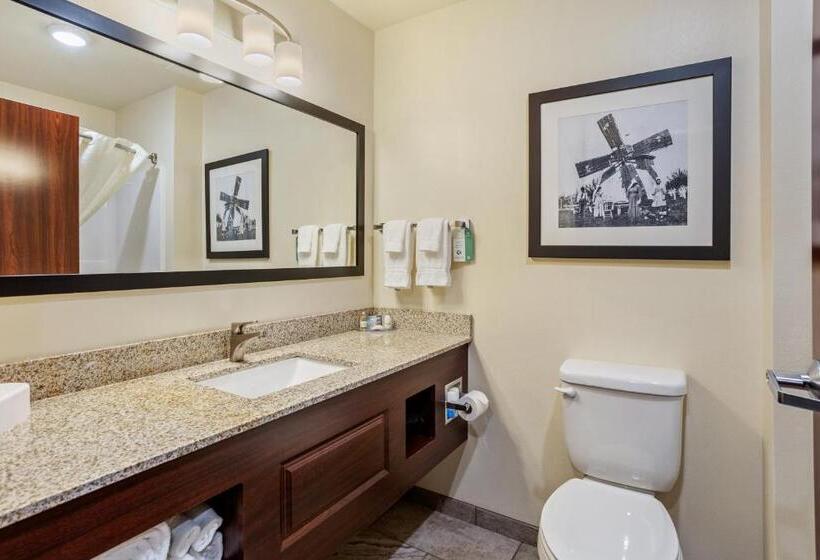 Cobblestone Hotel & Suites   Rhinelander