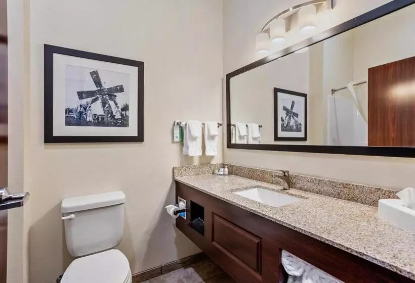 Cobblestone Hotel & Suites   Rhinelander