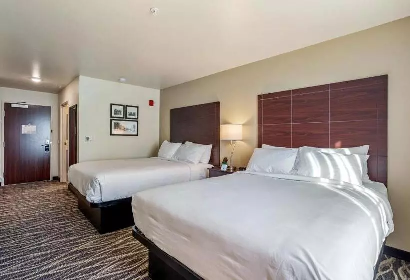 Cobblestone Hotel & Suites   Rhinelander