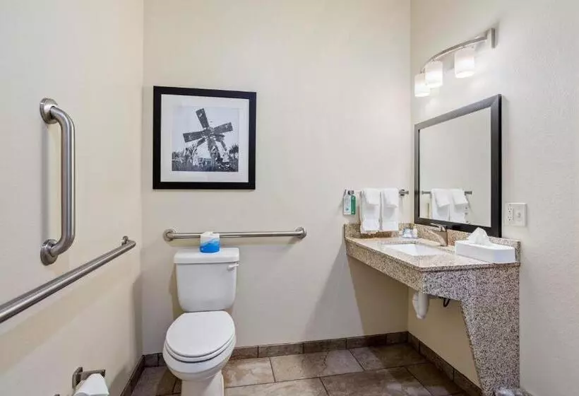 Cobblestone Hotel & Suites   Rhinelander