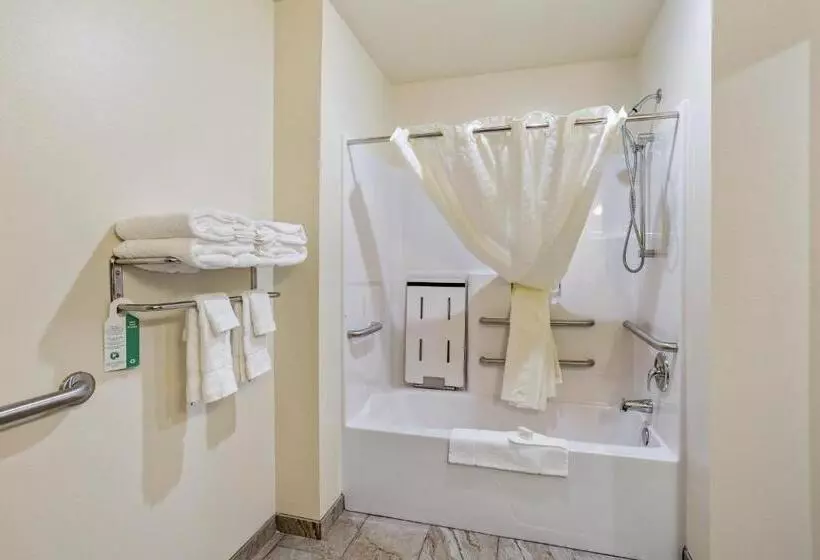 Cobblestone Hotel & Suites   Rhinelander