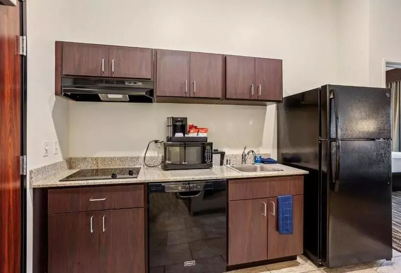 Cobblestone Hotel & Suites   Rhinelander