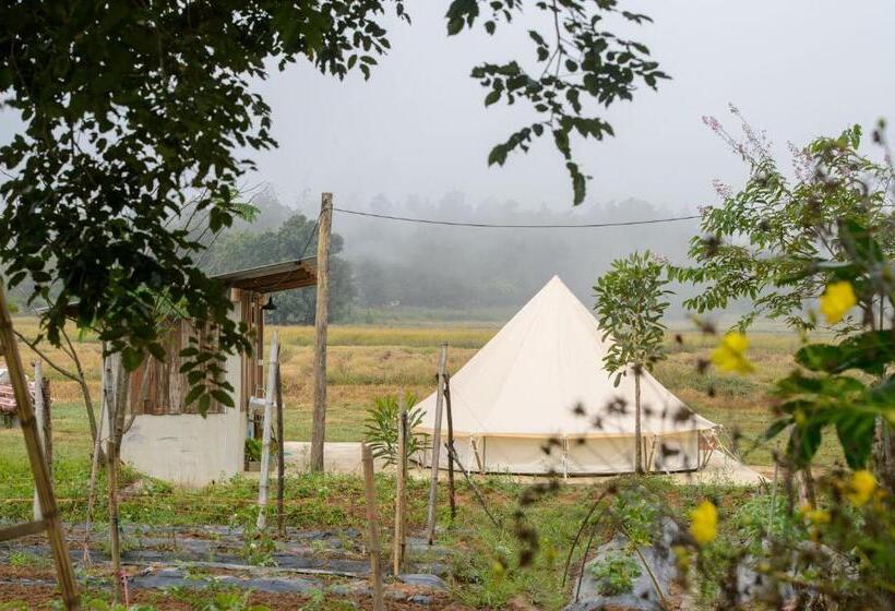 Hotel สวนบ้านนอก Suanbaannoak