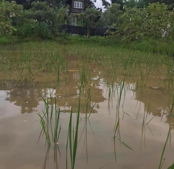 Hotel สวนบ้านนอก Suanbaannoak