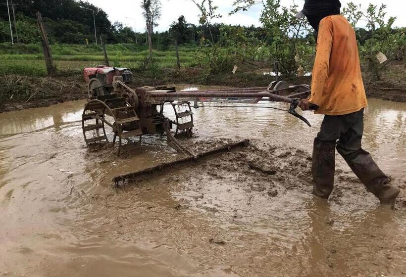 Hotel สวนบ้านนอก Suanbaannoak