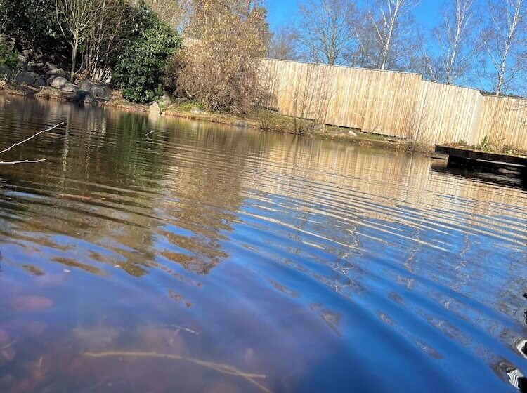 هتل L Toftalund Ab