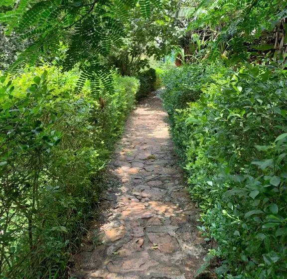 هتل Mpanga Nature Center