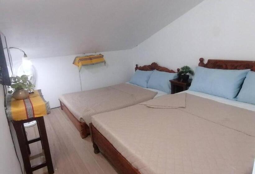 Panzió Grin Mcfly International Beachfront Guest House