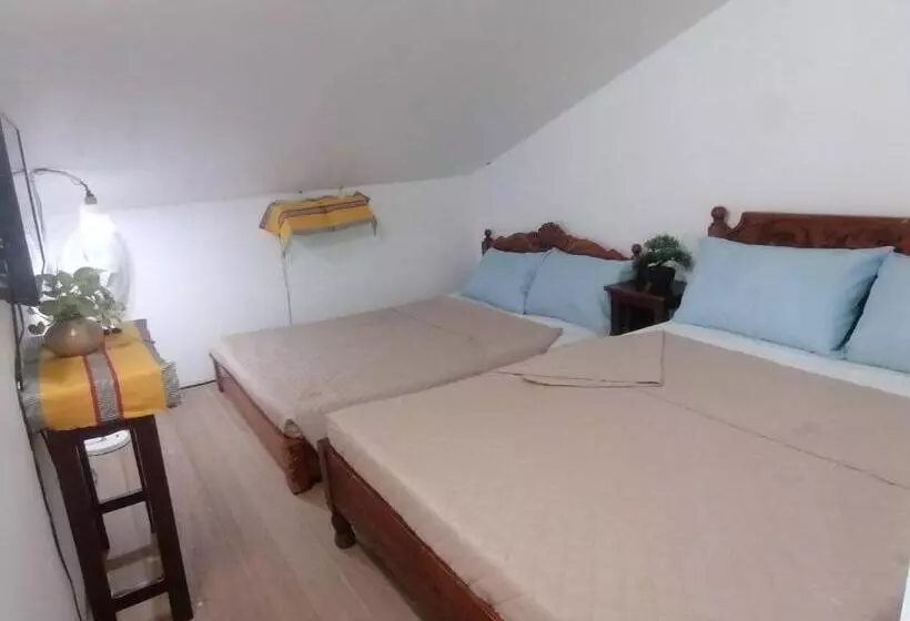 ペンション Grin Mcfly International Beachfront Guest House