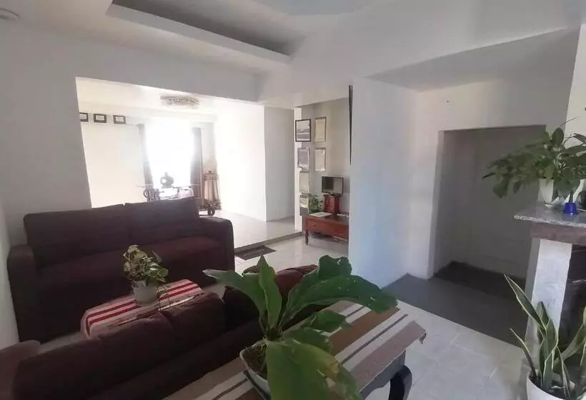 ペンション Grin Mcfly International Beachfront Guest House