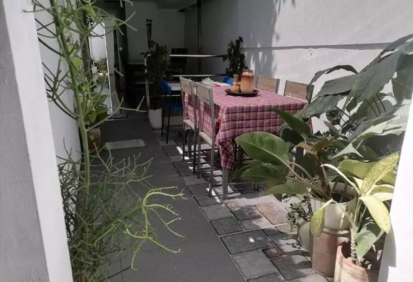 ペンション Grin Mcfly International Beachfront Guest House