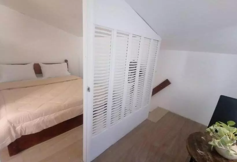 ペンション Grin Mcfly International Beachfront Guest House
