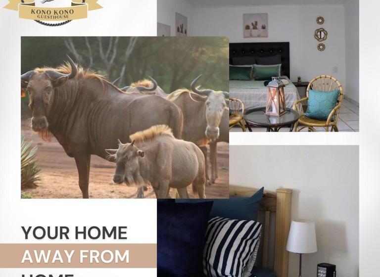 פנסיון Kono Kono Guesthouse
