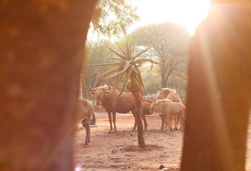 פנסיון Kono Kono Guesthouse