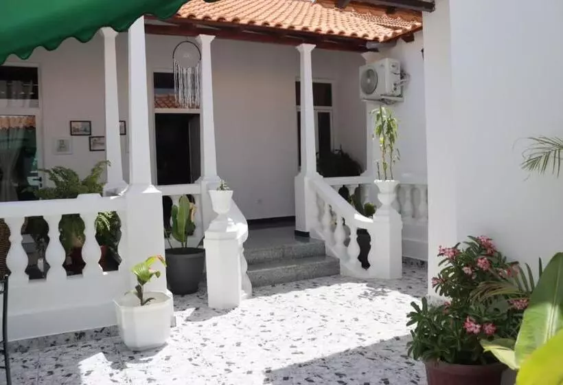 هاستل Casa 2