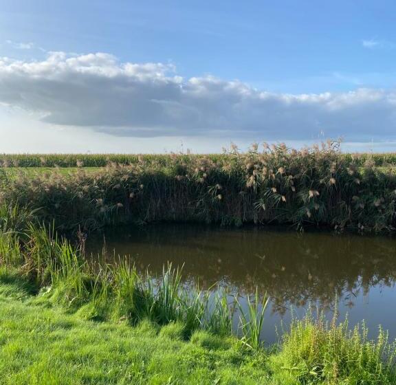 Slapen Bij De Stewardess B&b Almere