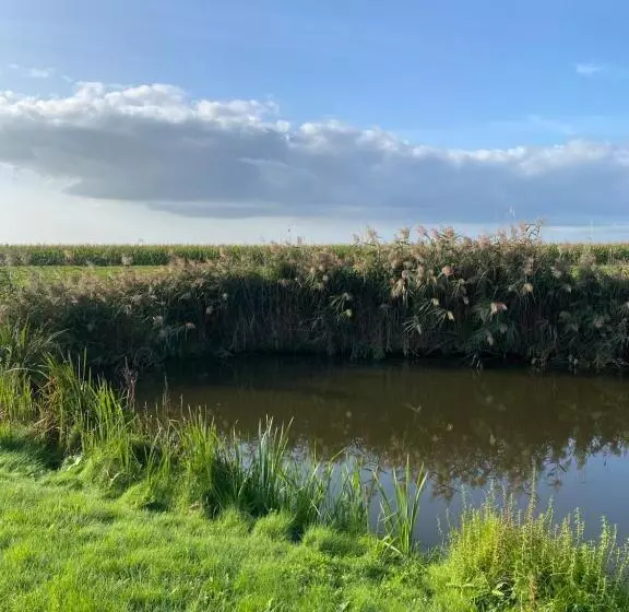Slapen Bij De Stewardess B&b Almere