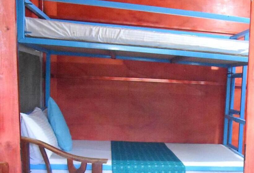Blue Bed Hostel
