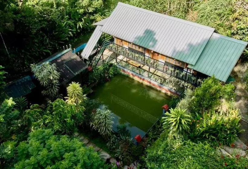 Hotelli Brook Streak Wayanad