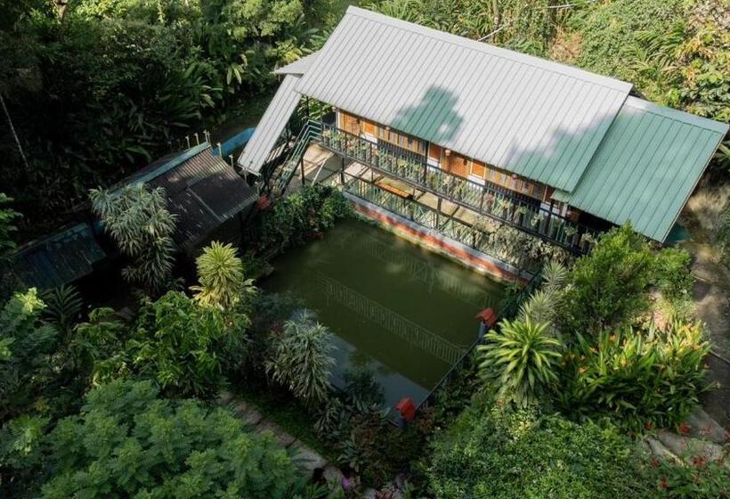 Hotel Brook Streak Wayanad