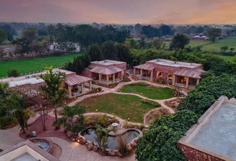 Hôtel Ranthambore Safari Booking
