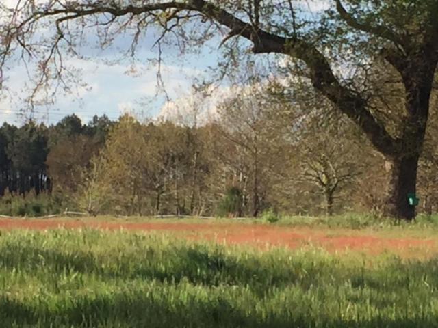 Bed and Breakfast Xibouette