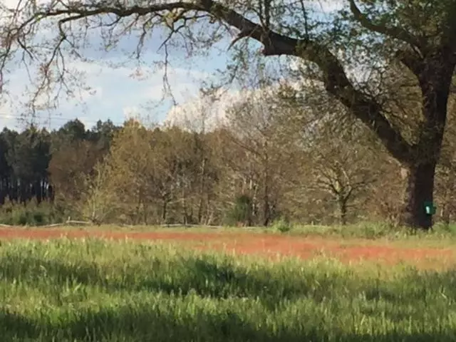 Aamiaismajoitus (B&B) Xibouette