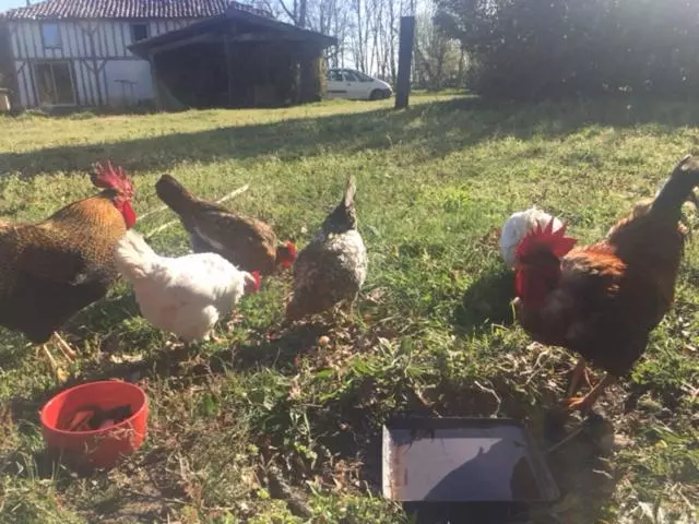 Aamiaismajoitus (B&B) Xibouette