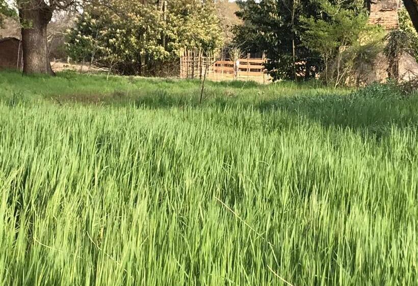 Bed and Breakfast Xibouette