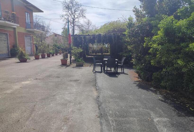 Отель Da Totonno